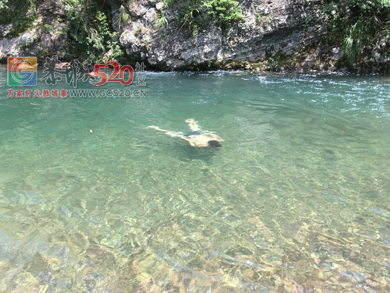 人生何处不迷茫，扒开云雾见青天555 / 作者:234340932 / 帖子ID:233768