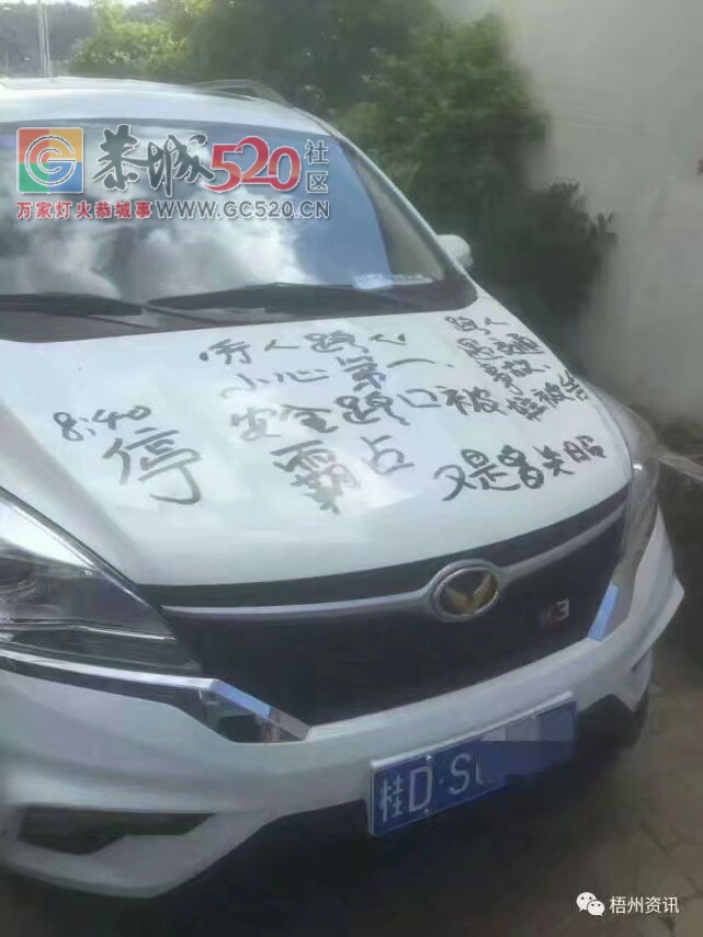 哪个的车子麻烦移走！停在这视线受阻真的很危险！781 / 作者:儿时的回忆 / 帖子ID:233724