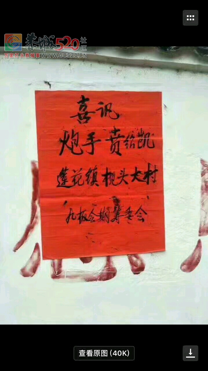 今日恭城两大红人406 / 作者:唐宝 / 帖子ID:233792