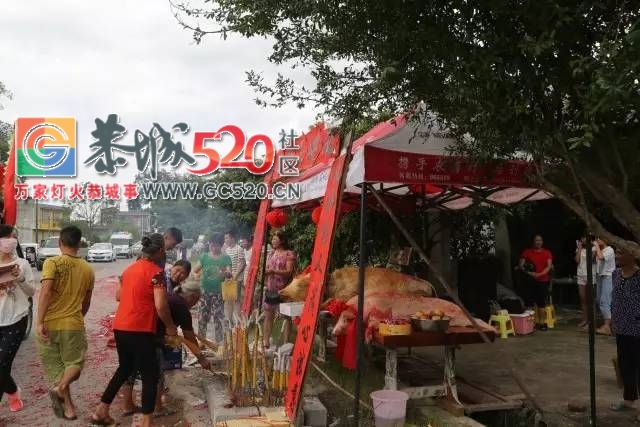 【内附视频】加会九板婆王节出游，众人敬仰，场面热闹非凡！970 / 作者:社区小编 / 帖子ID:233809