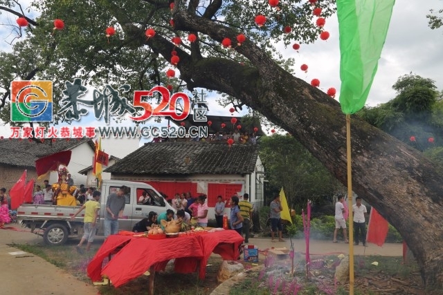 【内附视频】加会九板婆王节出游，众人敬仰，场面热闹非凡！941 / 作者:社区小编 / 帖子ID:233809