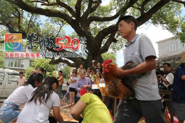 【内附视频】加会九板婆王节出游，众人敬仰，场面热闹非凡！224 / 作者:社区小编 / 帖子ID:233809