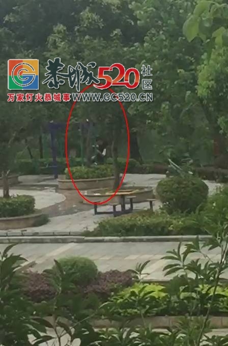【恭城身边事】西河口附近一对男女街边热吻，被网友拍下；一中年女子在恭城某超市...494 / 作者:社区小编 / 帖子ID:233858