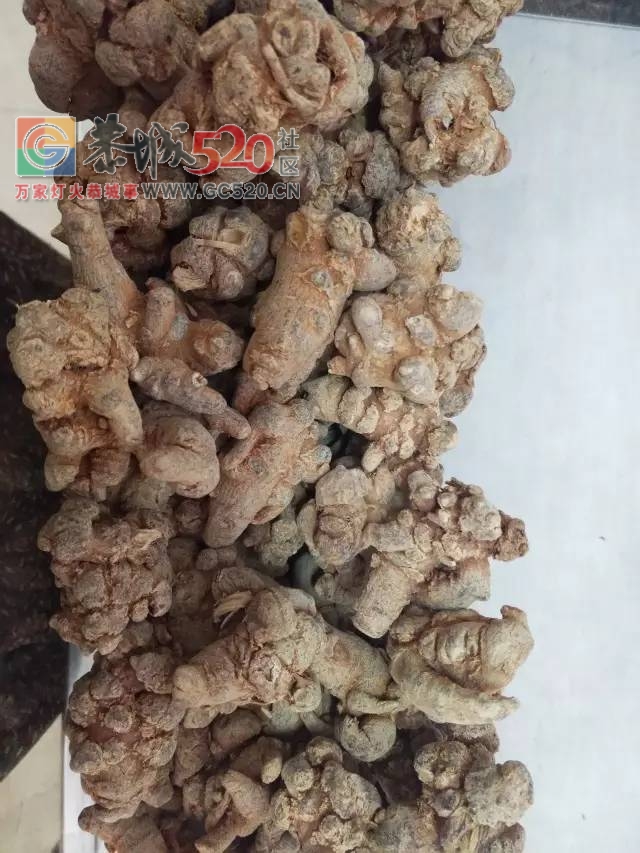 恭城新开了家神秘的店铺，据说去过的都年轻了好几岁！736 / 作者:恭城520广告 / 帖子ID:233859
