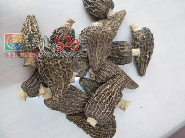 恭城新开了家神秘的店铺，据说去过的都年轻了好几岁！212 / 作者:恭城520广告 / 帖子ID:233859