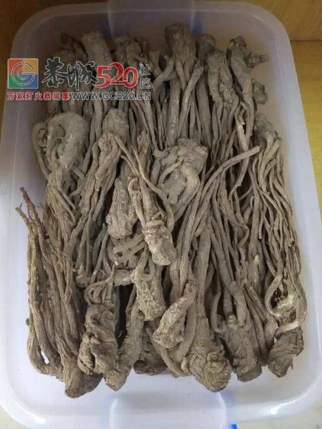 恭城新开了家神秘的店铺，据说去过的都年轻了好几岁！40 / 作者:恭城520广告 / 帖子ID:233859