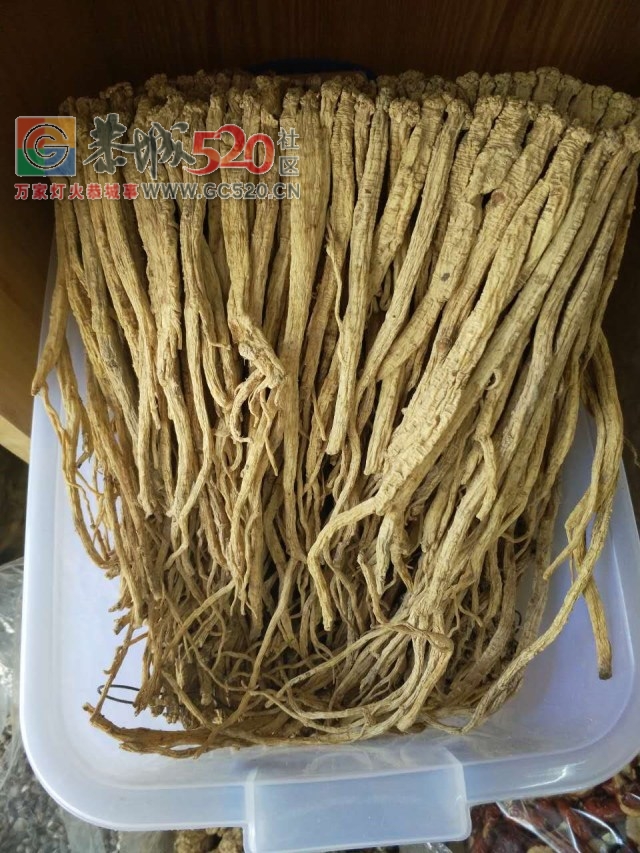 恭城新开了家神秘的店铺，据说去过的都年轻了好几岁！499 / 作者:恭城520广告 / 帖子ID:233859