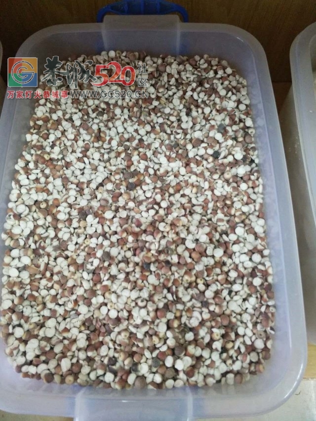 恭城新开了家神秘的店铺，据说去过的都年轻了好几岁！272 / 作者:恭城520广告 / 帖子ID:233859