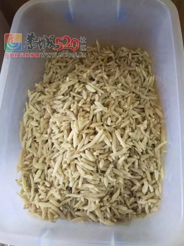 恭城新开了家神秘的店铺，据说去过的都年轻了好几岁！618 / 作者:恭城520广告 / 帖子ID:233859