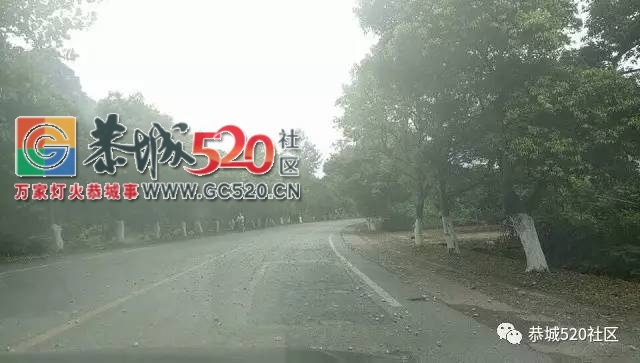 【恭城身边事】嘉会一大货车跟公交车岔路相遇互不相让起争执；拉石车过满上路石子...448 / 作者:社区小编 / 帖子ID:234047