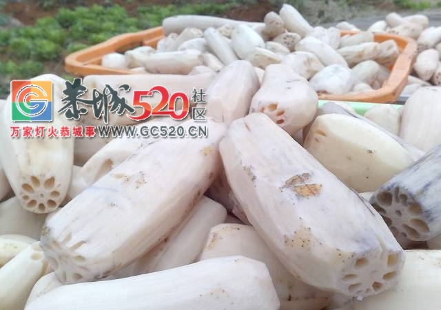 吃过恭城农村办的酒席，都觉得这份子钱给得值！362 / 作者:社区小编 / 帖子ID:234049