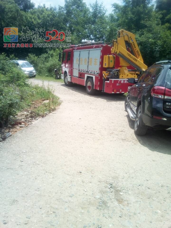 16岁娃仔在陈家厂河边洗冷水凉挨溺死！531 / 作者:给点阳光就灿烂 / 帖子ID:234060