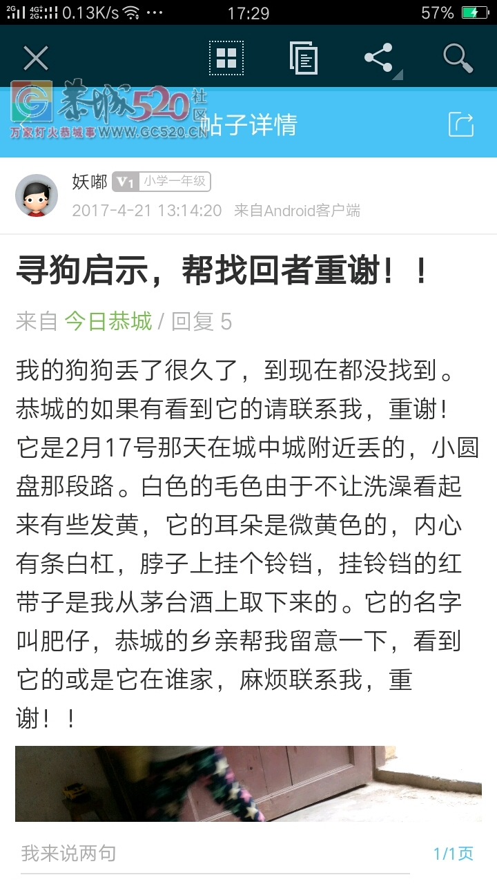 寻狗，重谢！898 / 作者:妖嘟 / 帖子ID:234117
