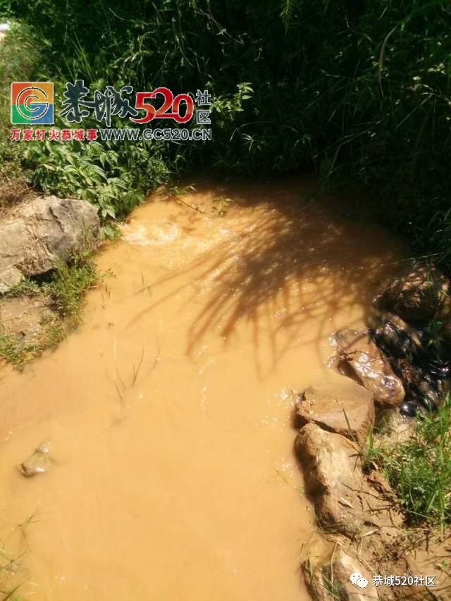 【恭城身边事】观音水滨莲花村突冒浑水村民担心地下“有情况”；栗木街这位司机这...221 / 作者:社区小编 / 帖子ID:234120