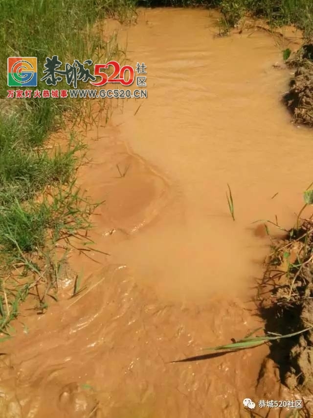 【恭城身边事】观音水滨莲花村突冒浑水村民担心地下“有情况”；栗木街这位司机这...583 / 作者:社区小编 / 帖子ID:234120