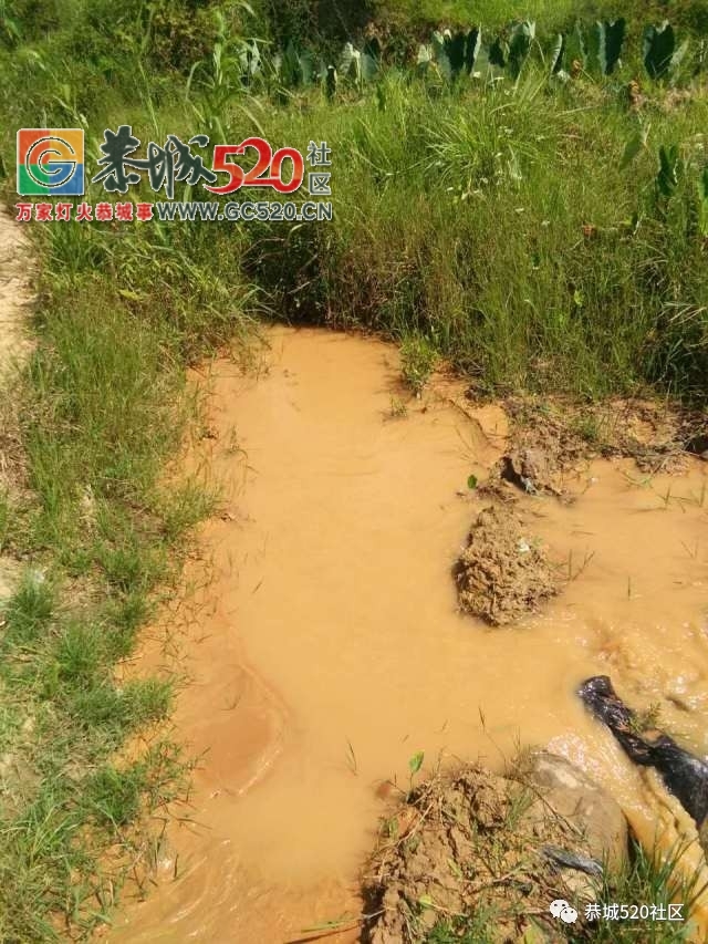 【恭城身边事】观音水滨莲花村突冒浑水村民担心地下“有情况”；栗木街这位司机这...731 / 作者:社区小编 / 帖子ID:234120