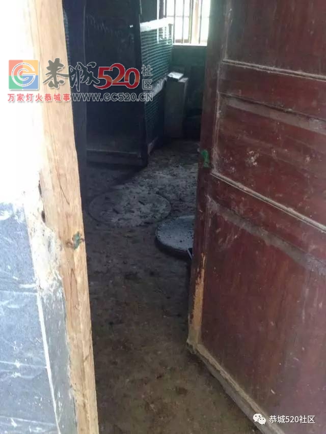平安和平刘家村惊现偷鸡贼，一农户家几十只鸡一夜被偷光753 / 作者:社区小编 / 帖子ID:234178