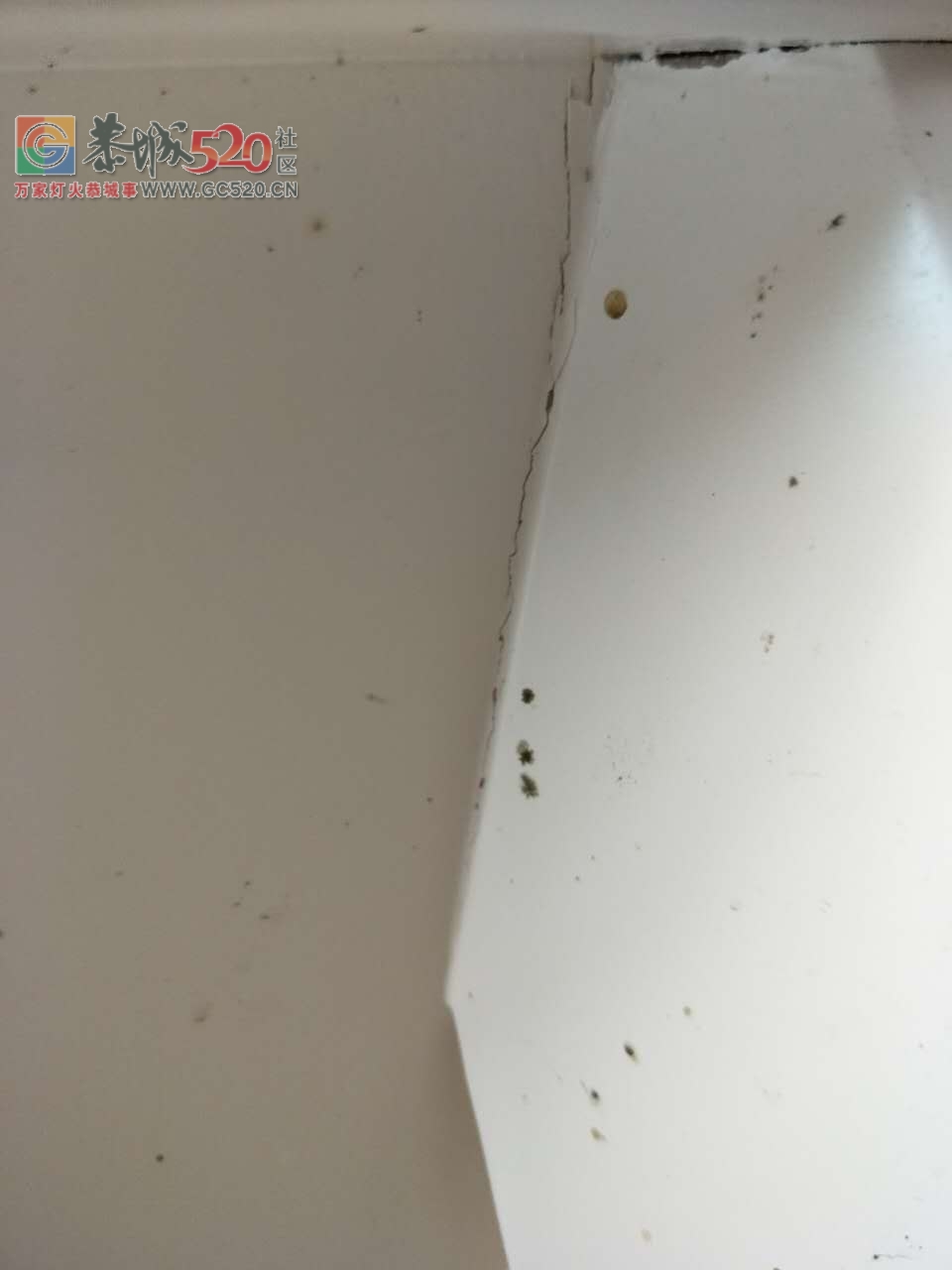 在恭城全友买的半年就开裂了,现在让他们帮修都不管342 / 作者:哟西 / 帖子ID:234367
