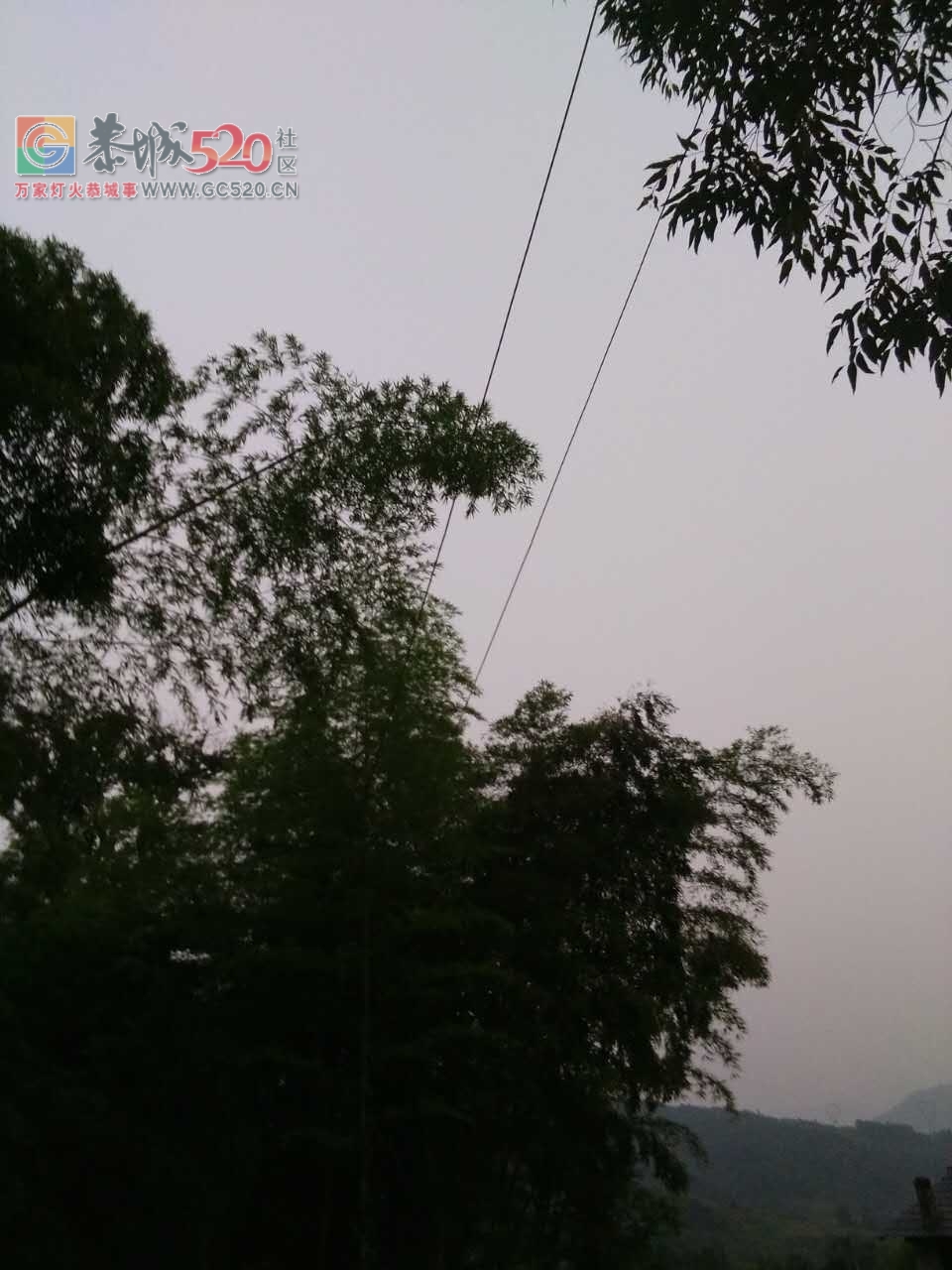 光线与竹搭在一起安全吗？327 / 作者:欧耶 / 帖子ID:234378