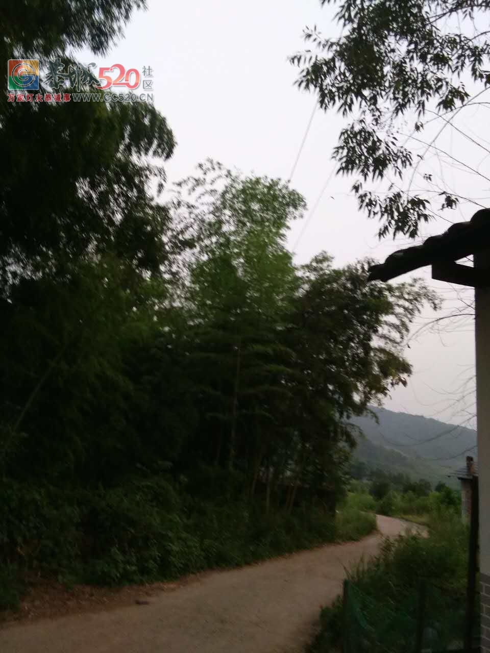 光线与竹搭在一起安全吗？780 / 作者:欧耶 / 帖子ID:234378