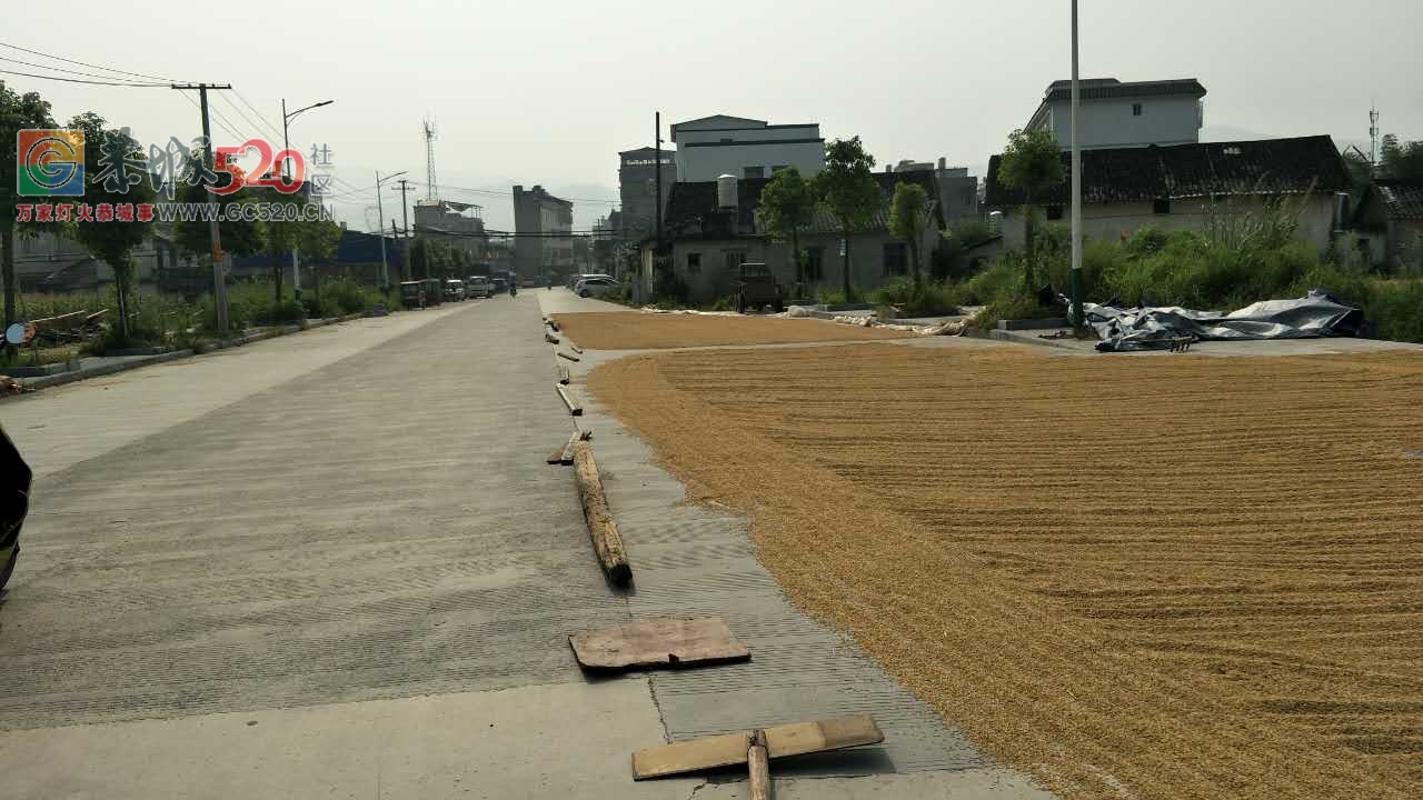 栗木派出所这条路被占道成这样了！128 / 作者:小红花 / 帖子ID:234388