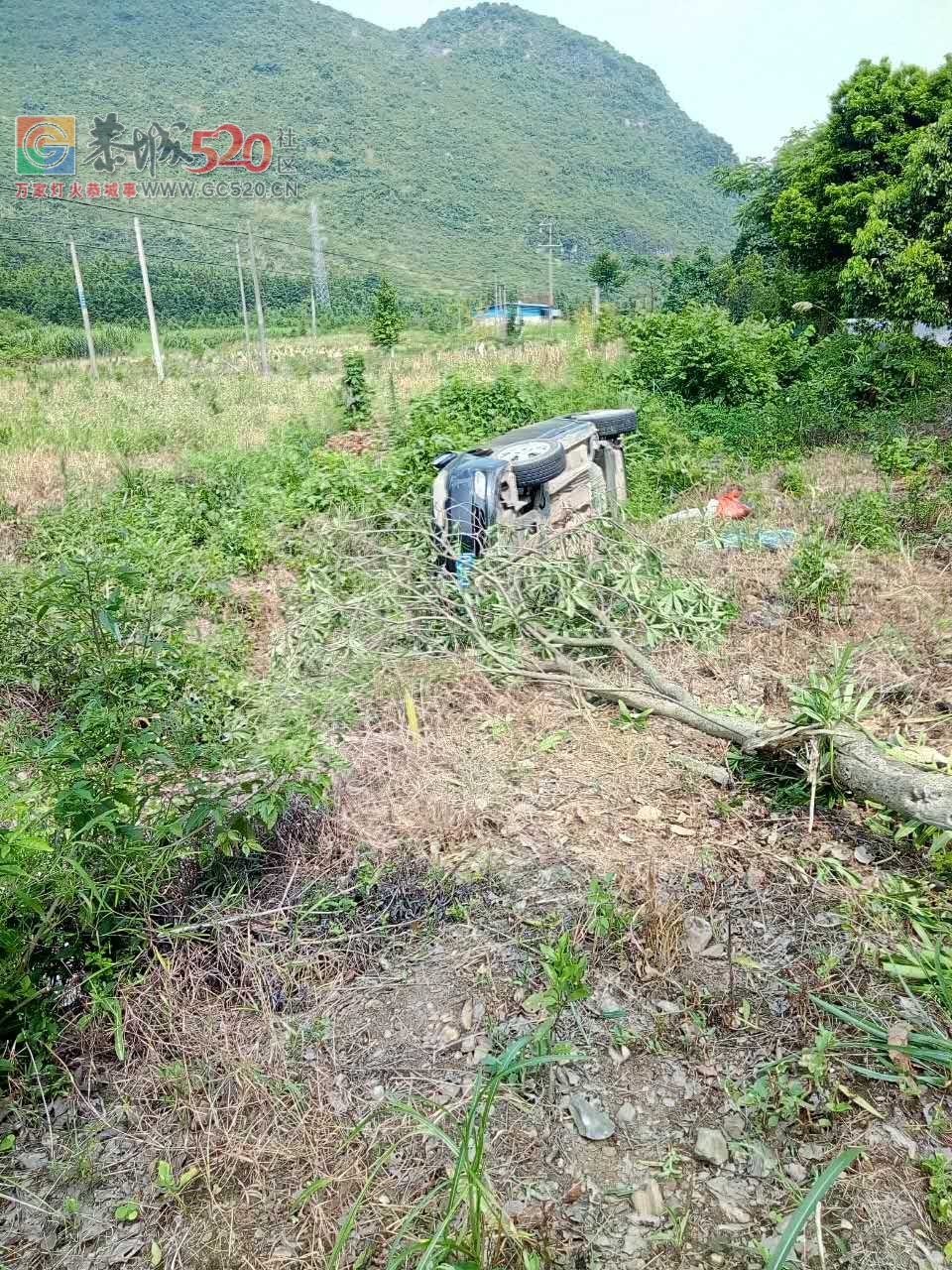 恭城这个死亡地带又出车祸了！！！333 / 作者:龙虎街娃崽 / 帖子ID:234409