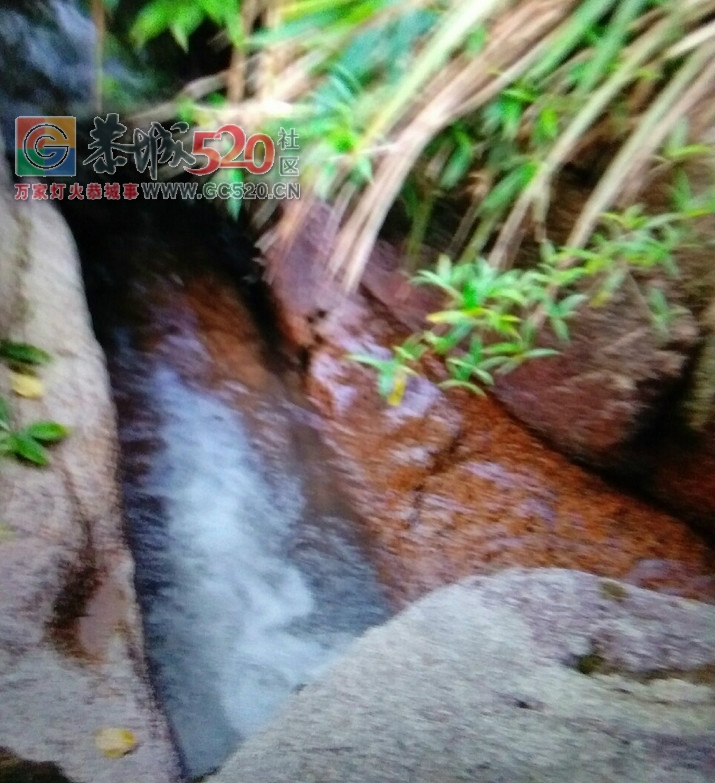 日前，恭城瑤族自治县旅游局与兰洞村委会达成共同开发‘兰洞旅游支线’意向协议。967 / 作者:茶江人 / 帖子ID:234440