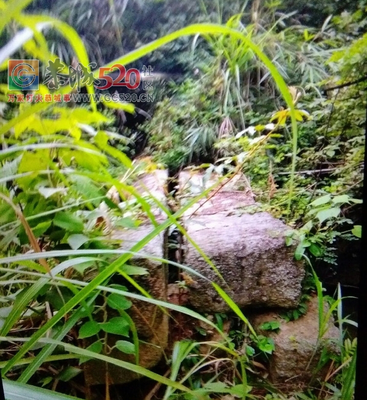 日前，恭城瑤族自治县旅游局与兰洞村委会达成共同开发‘兰洞旅游支线’意向协议。316 / 作者:茶江人 / 帖子ID:234440