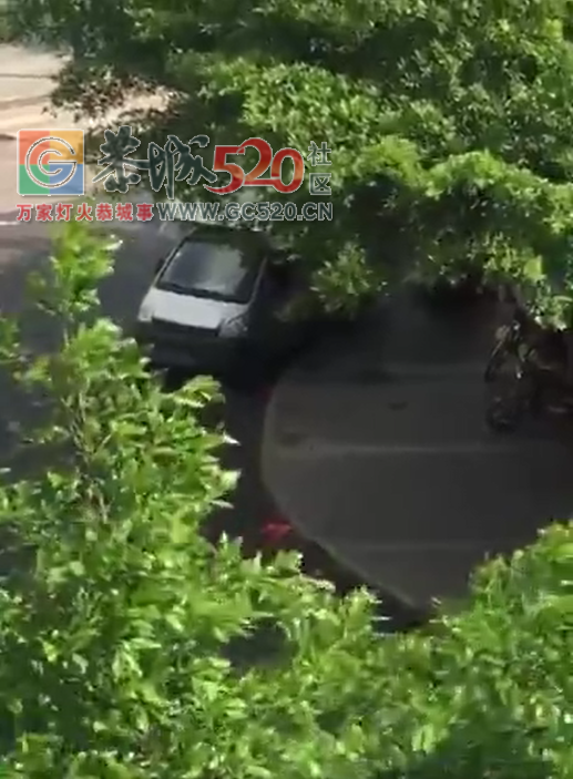 城中西路小圆盘的水果摊用喇叭喊话影响午休586 / 作者:哟西 / 帖子ID:234518