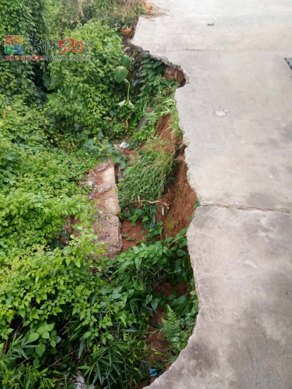 对河村这路坏了几年了都呗得人来修，前段时间还有架出租车在这挨紧。。。。195 / 作者:正在输入中 / 帖子ID:234620