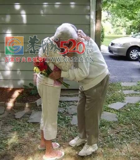 朋友圈最暖的照片：遇见你，走到底111 / 作者:九命猫 / 帖子ID:234735