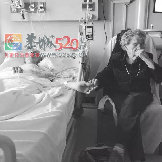 朋友圈最暖的照片：遇见你，走到底476 / 作者:九命猫 / 帖子ID:234735