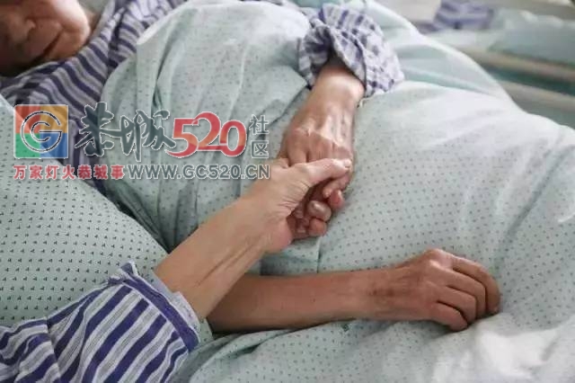 朋友圈最暖的照片：遇见你，走到底323 / 作者:九命猫 / 帖子ID:234735
