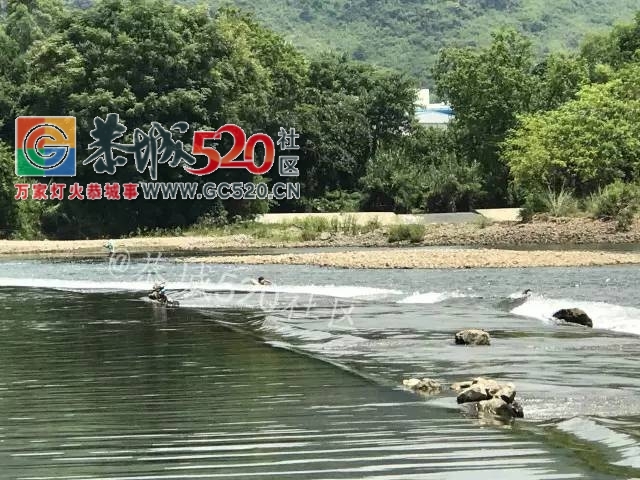 【恭城身边事】今天下午黄家圳高铁桥底有人拿电鱼机电鱼，对于电鱼你怎么看？700 / 作者:社区小编 / 帖子ID:234755