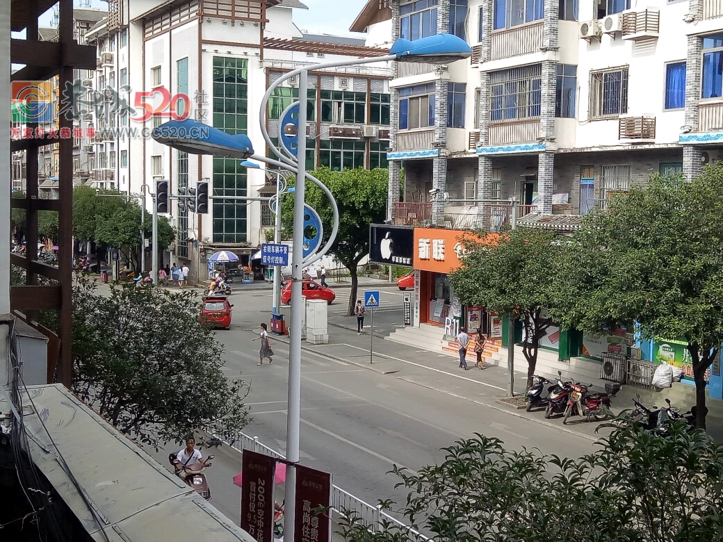 城中西路红绿灯134 / 作者:相思红豆生南国 / 帖子ID:234759