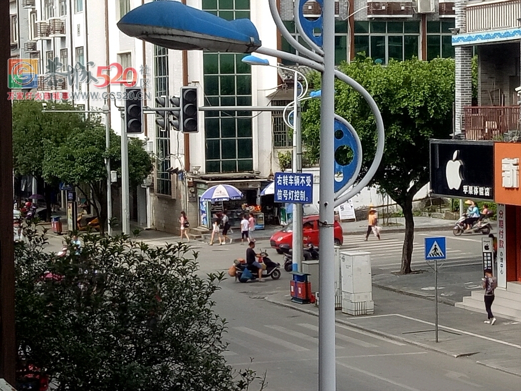 城中西路红绿灯880 / 作者:相思红豆生南国 / 帖子ID:234759