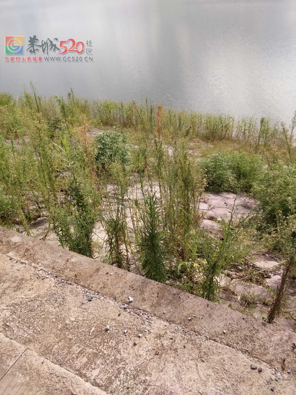 豪洞水库路段，路修好多年了，现在还没有护栏，就怕出点什么事情830 / 作者:讲不出神 / 帖子ID:234843
