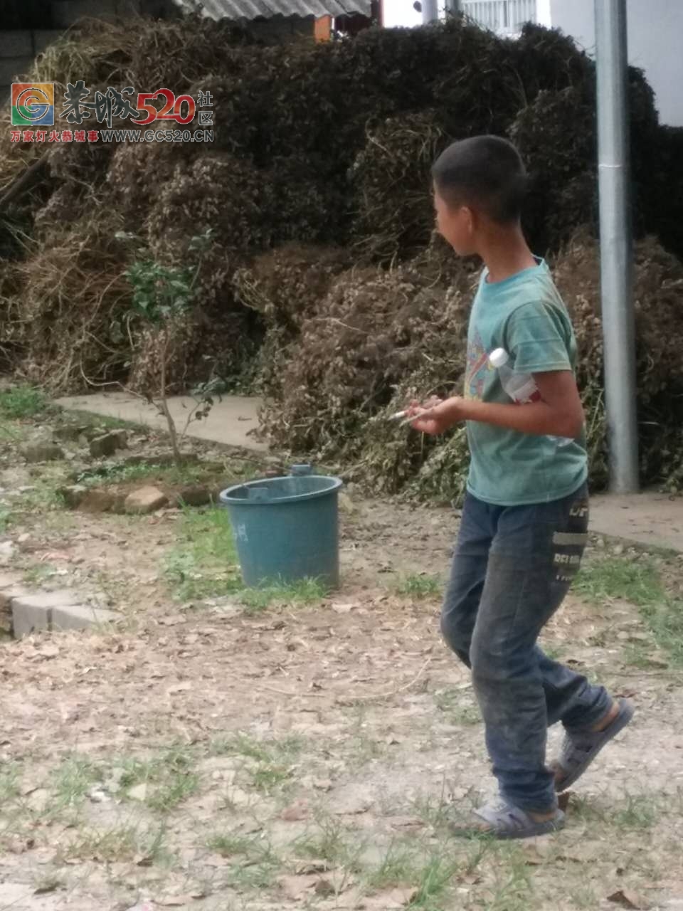 加会8岁小孩流浪在外，无人管201 / 作者:莫在撩我啦 / 帖子ID:234851