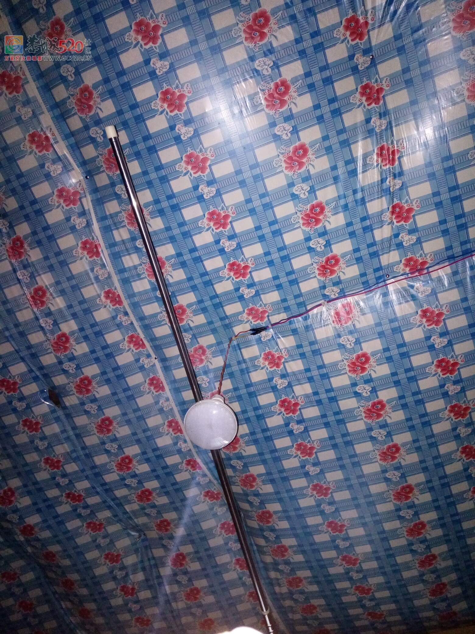 莲花打个屁都在停电。290 / 作者:一枝梅 / 帖子ID:234915