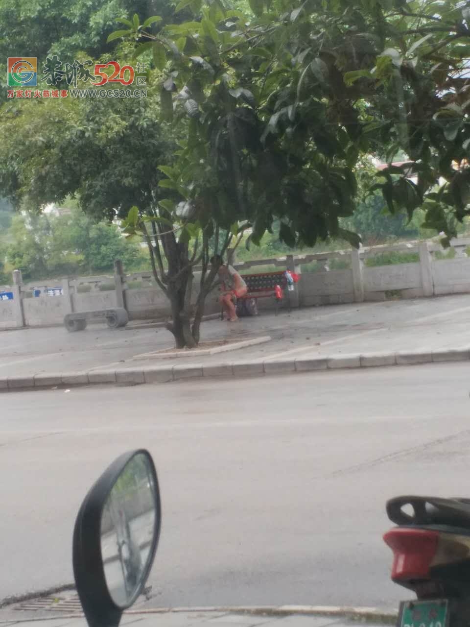 滨江苑一女的光天化日下脱裤子。。。。911 / 作者:登山涉水 / 帖子ID:234922