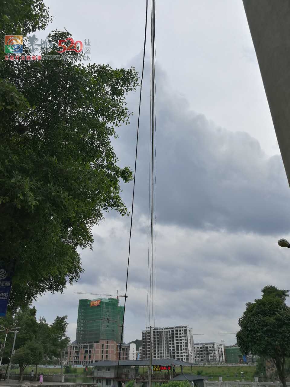 狮子头浮桥转弯处线缆脱落，车辆路过危险！740 / 作者:莲花的烂崽 / 帖子ID:234985