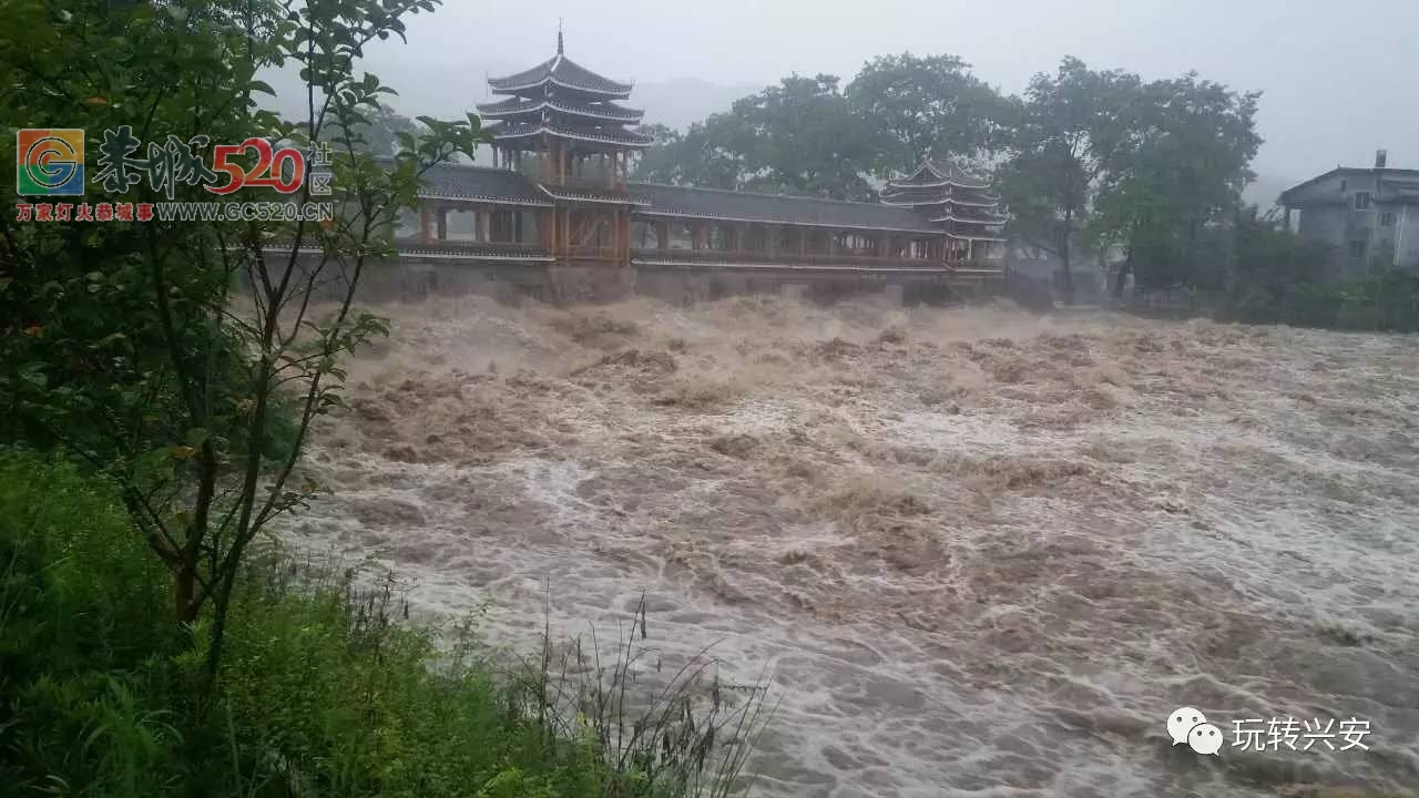 暴雨再次袭击桂林，怎一个“惨”字了得！！812 / 作者:九命猫 / 帖子ID:235172