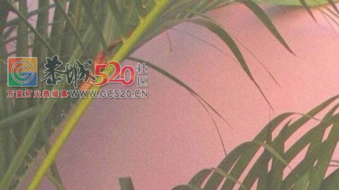 跟三观相似的人谈恋爱真的很重要429 / 作者:护花使者 / 帖子ID:235287