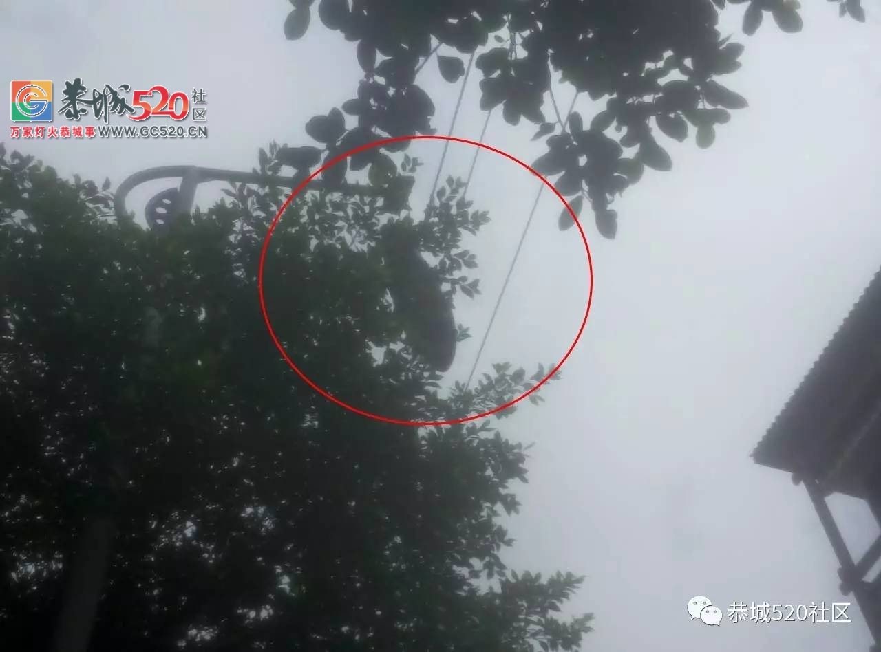 【恭城身边事】  嘉会镇路段一养路油罐拖车发生翻车；寻找8月15日在县医院缴费口拾...24 / 作者:社区小编 / 帖子ID:235294