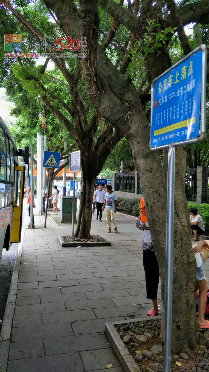 十字街公交站台无座椅乘客等车不便，希望设立等车座位！586 / 作者:高负帅 / 帖子ID:235397