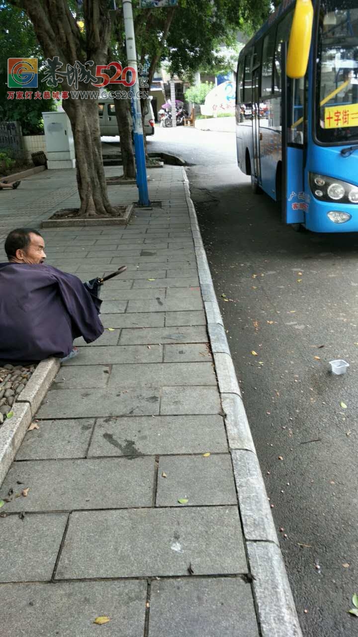 十字街公交站台无座椅乘客等车不便，希望设立等车座位！413 / 作者:高负帅 / 帖子ID:235397