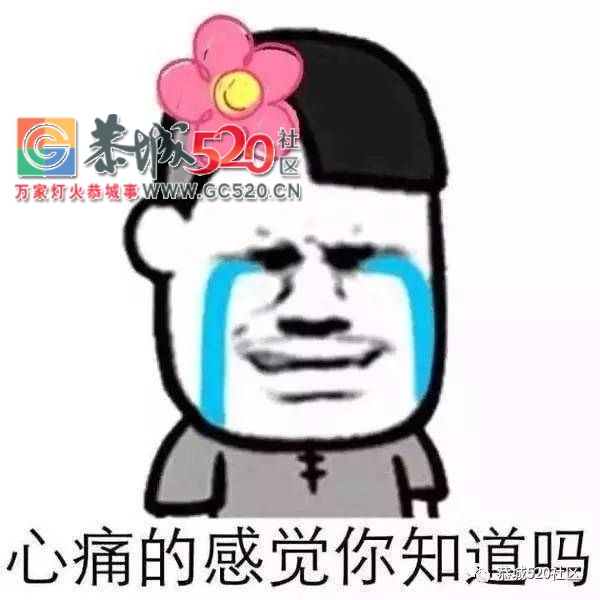 【恭城身边事】论堵车只服栗木街 | 公交站台无座椅，老人坐路边等车527 / 作者:社区小编 / 帖子ID:235430