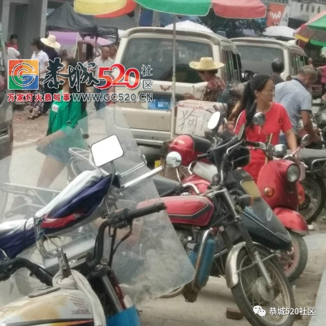 【恭城身边事】论堵车只服栗木街 | 公交站台无座椅，老人坐路边等车823 / 作者:社区小编 / 帖子ID:235430