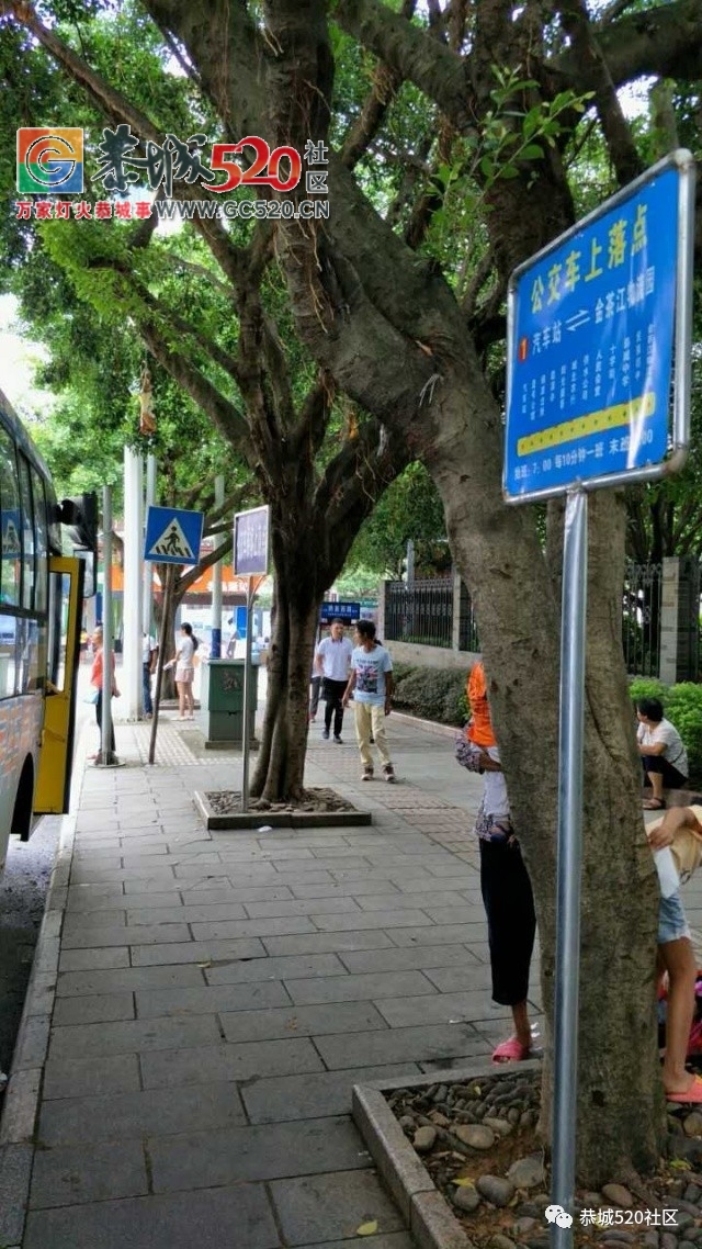 【恭城身边事】论堵车只服栗木街 | 公交站台无座椅，老人坐路边等车963 / 作者:社区小编 / 帖子ID:235430