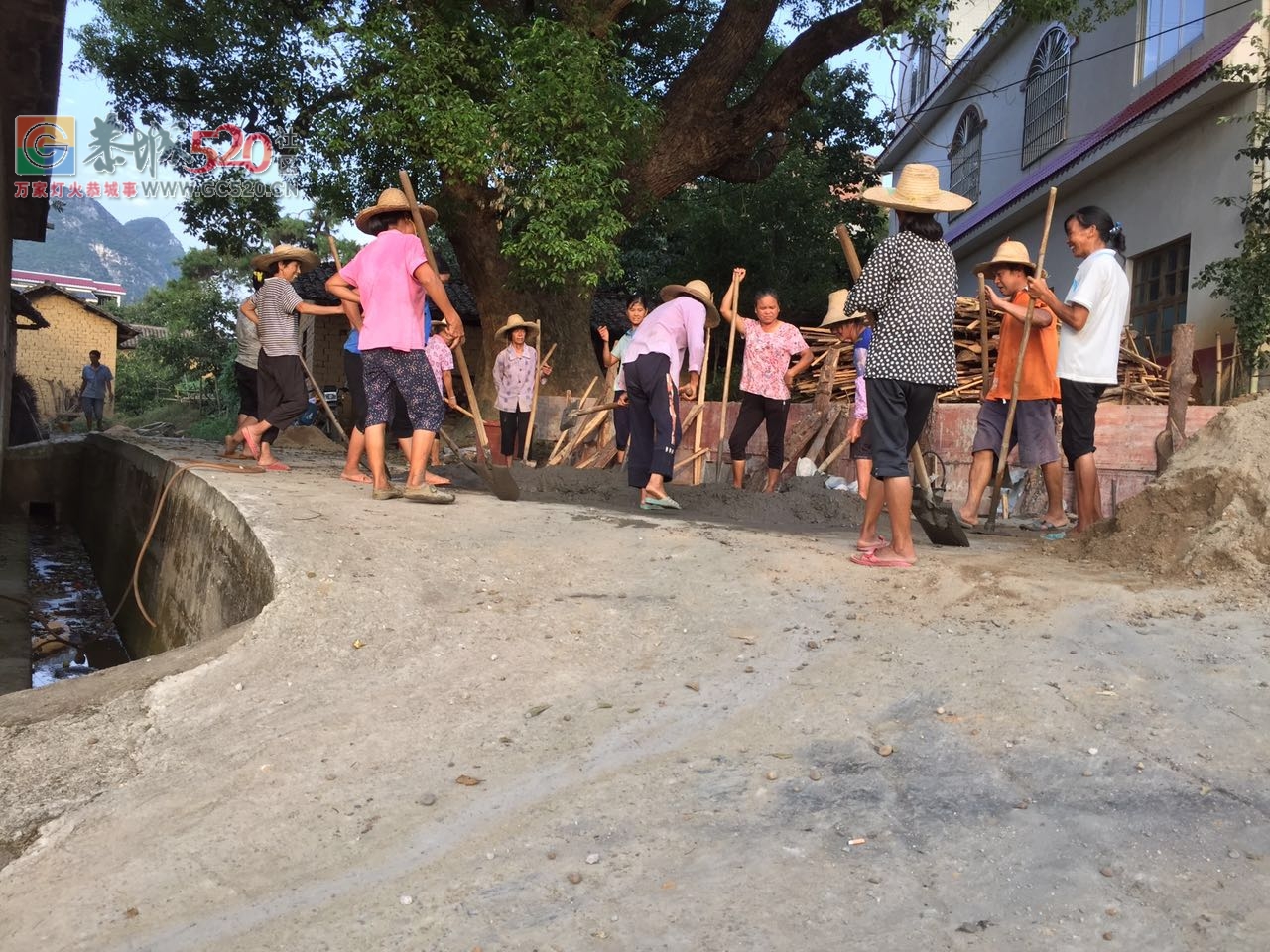 为恭城古城村村民点赞，自愿筹款保护百年古树！204 / 作者:xiaoxiong99 / 帖子ID:235517